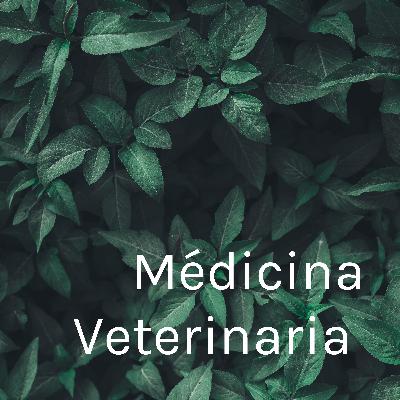 Medicina veterinaria