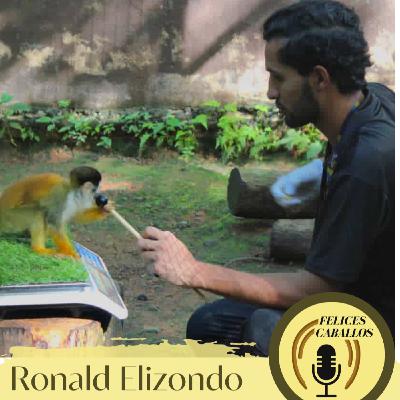 Es el refuerzo positivo solo para los silvestres, Roland?