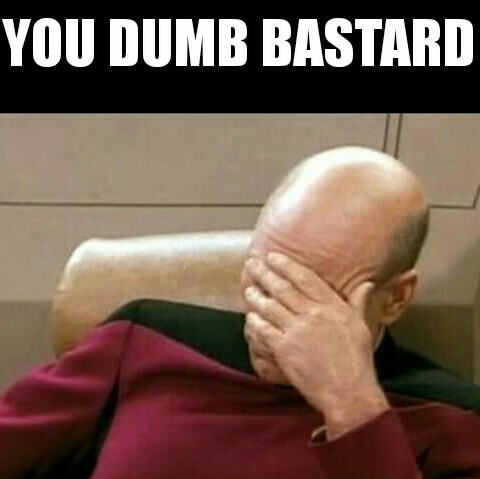 You Dumb Bastard