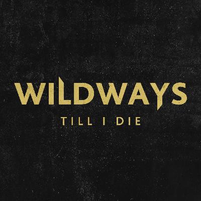 Wildways - Till I Die (Ozma & SureWay remix)