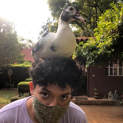 Viaje al centro de la tierra