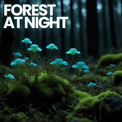 🌲 FOREST AT NIGHT 12 HOURS | Crickets Owls Rain Wind in Trees - Relax Study Sleep De-Stress
