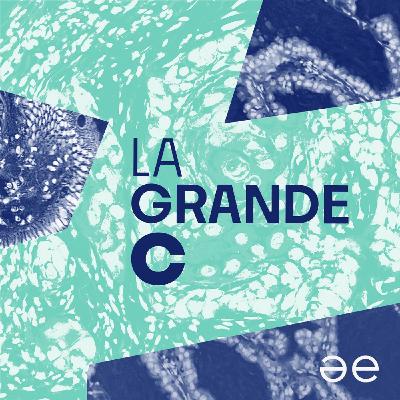 Introduzione: La Grande C