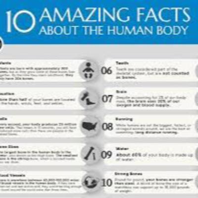 RAW Weird Facts about our bodies