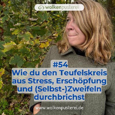 #54 Wie du den Teufelskreis aus Stress, Erschöpfung und (Selbst-)Zweifeln durchbrichst #54 Wie du den Teufelskreis aus Stress, Erschöpfung und (Selbst-)Zweifeln durchbrichst