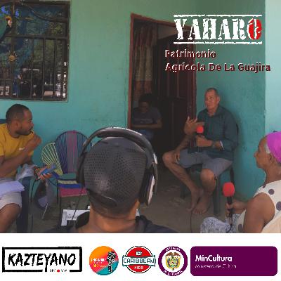 Proyecto Yaharo - Capítulo 5 Lagarto