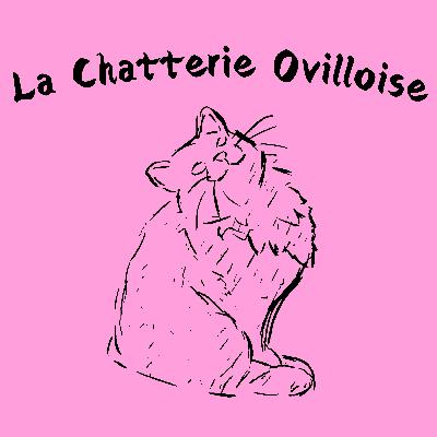 S1-E4 Comment choisir un bac à litière pour un chaton sibérien de la Chatterie Ovilloise?