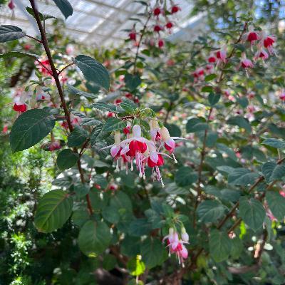 Kendini Sahiplenmekte Özgürsün!