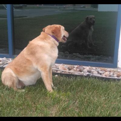 Jesus Forgives - do you Jesus Forgives - do you