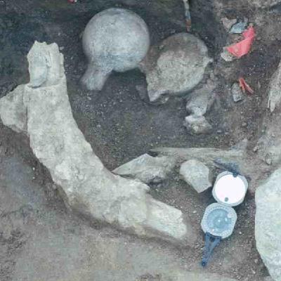 1783 - Antropología: El misterio de Cceruti Mastodon 1783 - Antropología: El misterio de Cceruti Mastodon