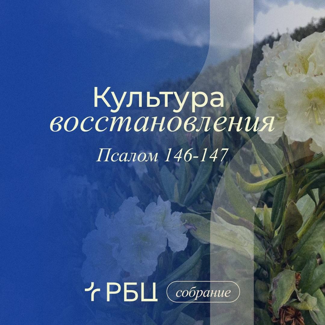 Культура восстановления episode artwork