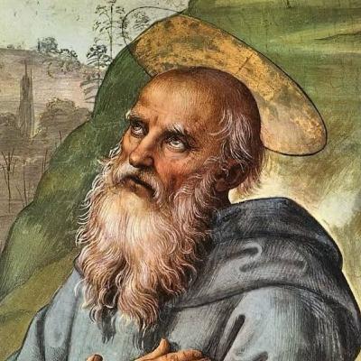 San Severino: 8 de enero