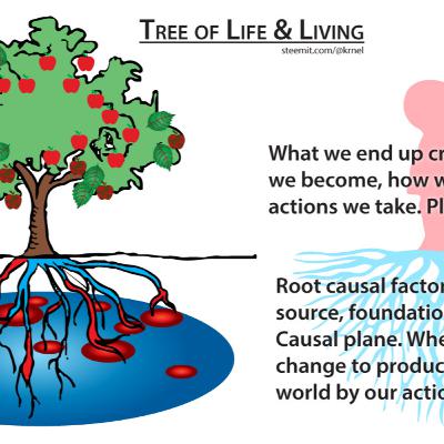 Get to the Root Cause