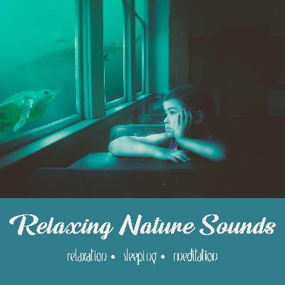 Underwater Whale Song | 8 Hour