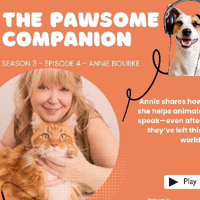Speaking Their Language: Annie Bourke on Animal Communication and Spirit Connection