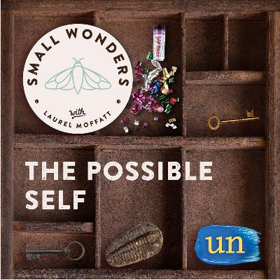 The Possible Self
