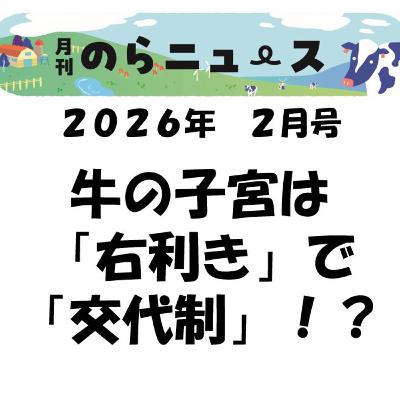牛の子宮は「右利き」で「交代制」!?_月刊のらニュース2026年2月号 牛の子宮は「右利き」で「交代制」!?_月刊のらニュース2026年2月号