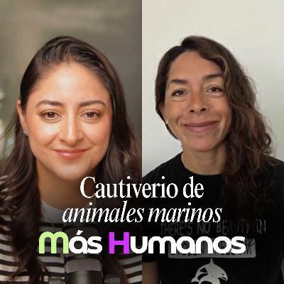 Delfinarios y Parques Marinos: Detrás del cautiverio | Empty The Thanks Delfinarios y Parques Marinos: Detrás del cautiverio | Empty The Thanks