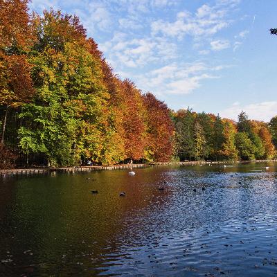 Hour 4:  Emmy Award winning David Shore on receiving the Lifetime Achievement award this Saturday, Kathleen Wynne - Stuff that’s working… and stuff that isn’t and Mayor Jason Anderson of Duck Lake Saskatchewan on officially inviting corporate partners to bid for the naming rights to the community. Hour 4:  Emmy Award winning David Shore on receiving the Lifetime Achievement award this Saturday, Kathleen Wynne - Stuff that’s working… and stuff that isn’t and Mayor Jason Anderson of Duck Lake Saskatchewan on officially inviting corporate partners to bid for the naming rights to the community.