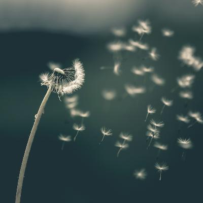 Inside the Wind -- E149