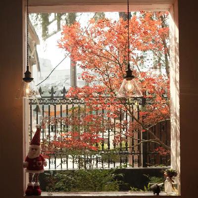 Ep.75 向阳而生｜当我们放下预设与期待后会发生什么？