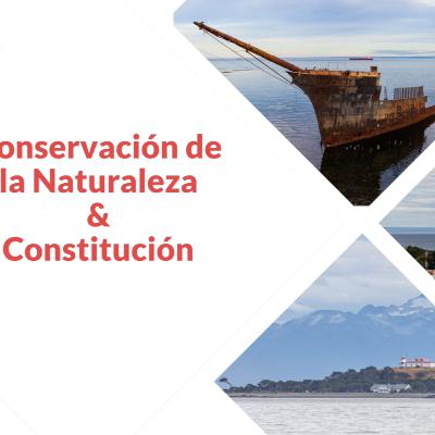 Cap. 4 - Conservación de la Naturaleza & Constitución