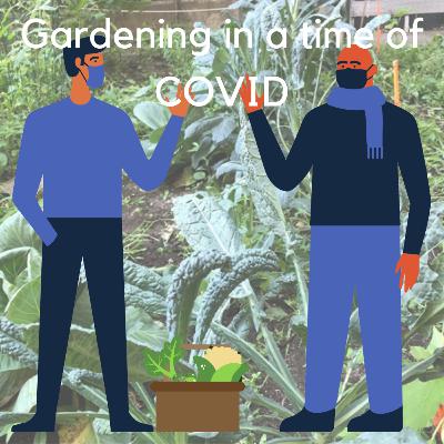 Gardening in a time of COVID