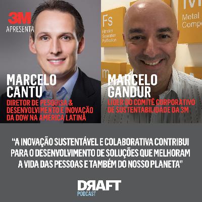 #Episódio 29: Reinvenção das empresas pela Sustentabilidade