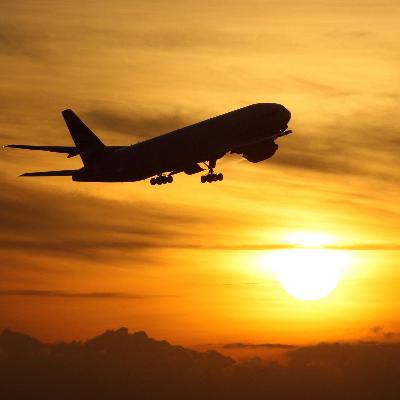 Air Travel - Bearista & Brain Rot