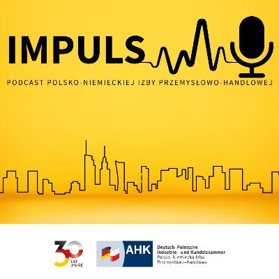 #9 Impuls: Grenlandia, Davos, nowy porządek. Gdzie jest miejsce Europy? | Janusz Reiter