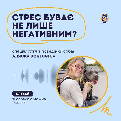 Все про стрес зі спеціалісткою з поведінки собак Аляскою Doglogica