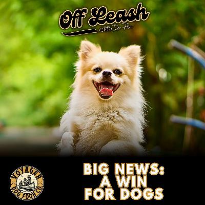 BIG NEWS; A Win For Dogs