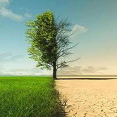 Día Mundial del Clima