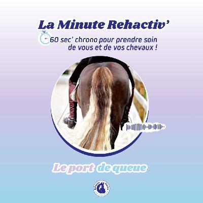 Le port de queue du cheval