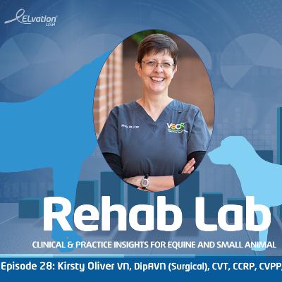 Episode 28: Kristy Oliver VN, DipAVN(Surgical), CVT, CCRP, CVPP, VTS