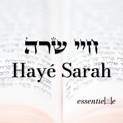 5786 - Hayé Sarah - les 3 frontières à réparer