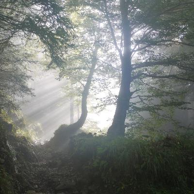 Episode 112: The Mystic Arts