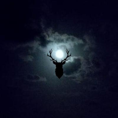 Hirsch Mond - ein Podcast rund um Spiritualität und Magie