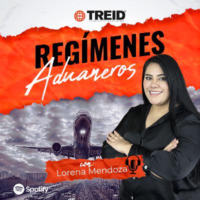 E. 56 Regímenes Aduaneros