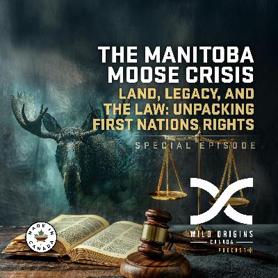 The Manitoba Moose Crisis: Land, Legacy, and the Law || Special Episode