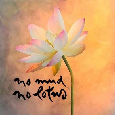 Eclipse total ~ do caos ao lótus