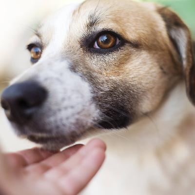 Par où commencer lorsqu'on reprend le sport ?