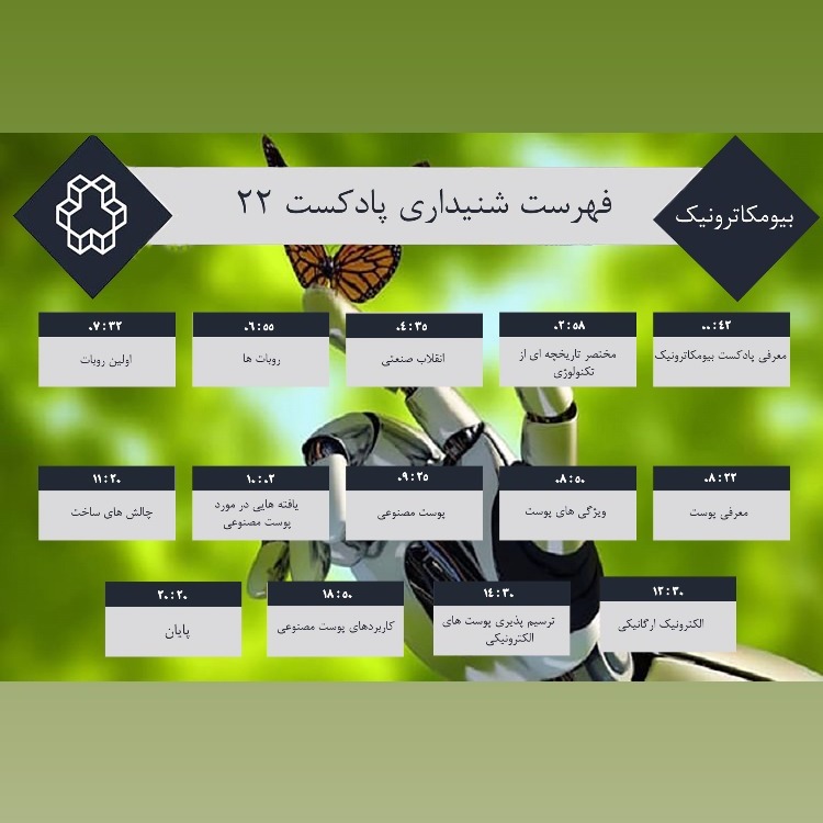 بیست و دو - پوست الکترونیکی