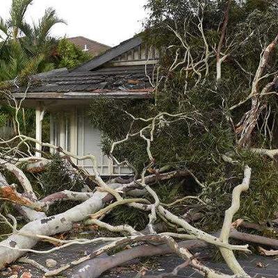 Tens of thousands still without power after wild Sydney storm