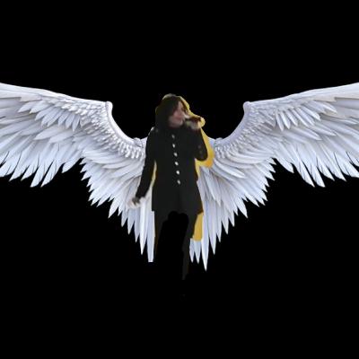 GLORIA - COMO ALAS DE PALOMA