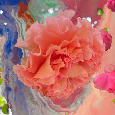 Conic Rose: Woodhouse