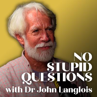 No Stupid Questions - Traditional Chinese Veterinary Medicine Vet, Dr Langlois (Sponsored by YETI)