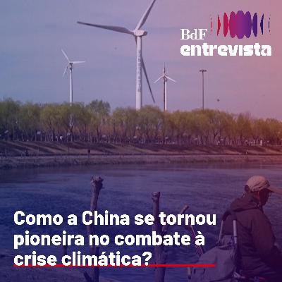 #354 - Como a China se tornou pioneira no combate à crise climática? | BdF Entrevista Tings Chak #354 - Como a China se tornou pioneira no combate à crise climática? | BdF Entrevista Tings Chak