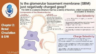 Chapter Two: Renal Circulation and Glomerular Filtration Rate