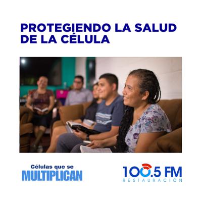 CÉLULAS QUE SE MULTIPLICAN - Protegiendo la salud de la célula CÉLULAS QUE SE MULTIPLICAN - Protegiendo la salud de la célula
